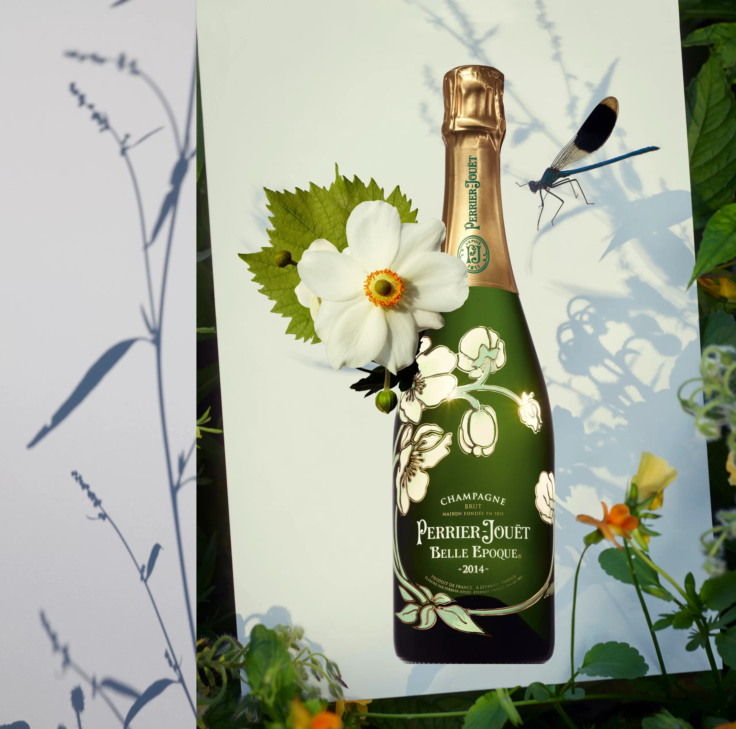 enchant_your_world_campaign_kv_be_brut_2014_rgb_horiz